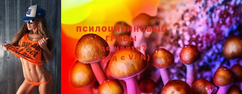 Галлюциногенные грибы Cubensis  Нижняя Тура 